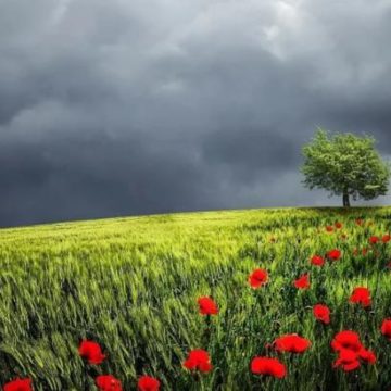 Prognoza meteo pe o lună. Schimbări majore: cum va fi vremea până pe 8 iunie Prognoza meteo pe o lună. Schimbări majore: cum va fi vremea până pe 8 iunie