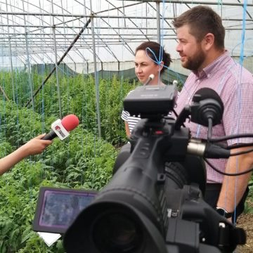 LUCRURI, FAPTE ȘI OAMENI DE VALOARE – ”TRAISTA CU BUNĂTĂȚI”, UN CONCEPT DE SUCCES ÎN PROMOVAREA PRODUCĂTORILOR LOCALI LUCRURI, FAPTE ȘI OAMENI DE VALOARE – ”TRAISTA CU BUNĂTĂȚI”, UN CONCEPT DE SUCCES ÎN PROMOVAREA PRODUCĂTORILOR LOCALI
