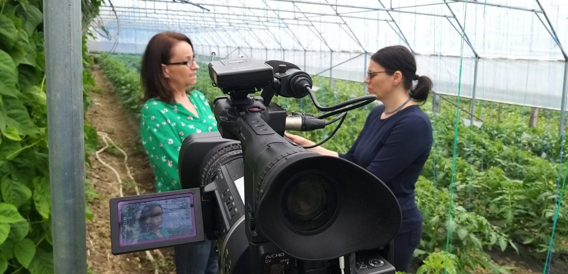 VIDEO | AZI LA TV SIGHET: Despre un concept de succes în susținerea producătorilor locali, în emisiunea ”Lucruri, fapte și oameni de valoare”