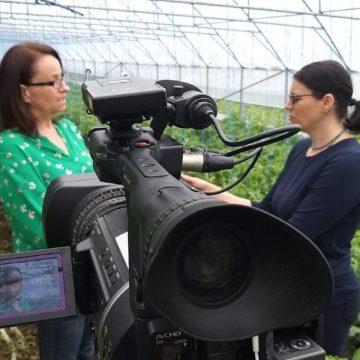 VIDEO | AZI LA TV SIGHET: Despre un concept de succes în susținerea producătorilor locali, în emisiunea ”Lucruri, fapte și oameni de valoare”