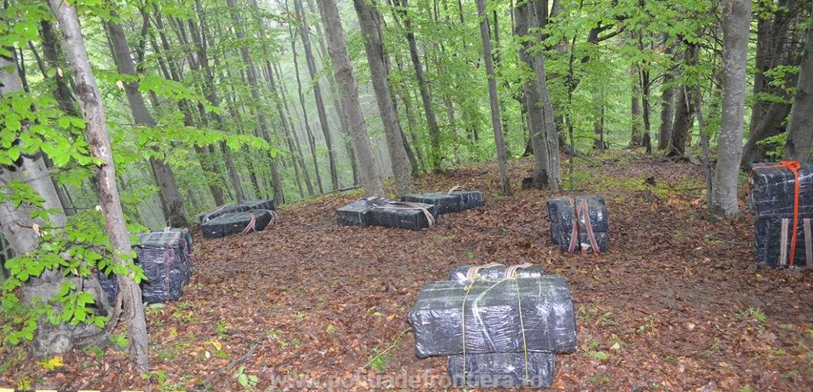 VIDEO | Împușcături la graniță pentru prinderea unor contrabandiști VIDEO | Împușcături la graniță pentru prinderea unor contrabandiști