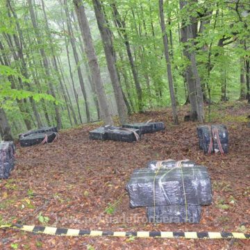 VIDEO | Împușcături la graniță pentru prinderea unor contrabandiști VIDEO | Împușcături la graniță pentru prinderea unor contrabandiști
