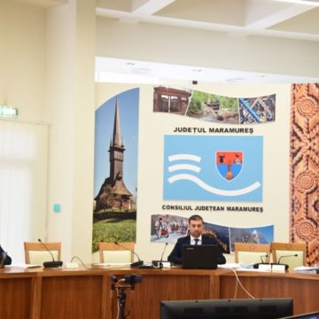 VIDEO | Consiliul Județean Maramureș a alocat 156 mii lei pentru două comunități din județ, afectate de inundații
