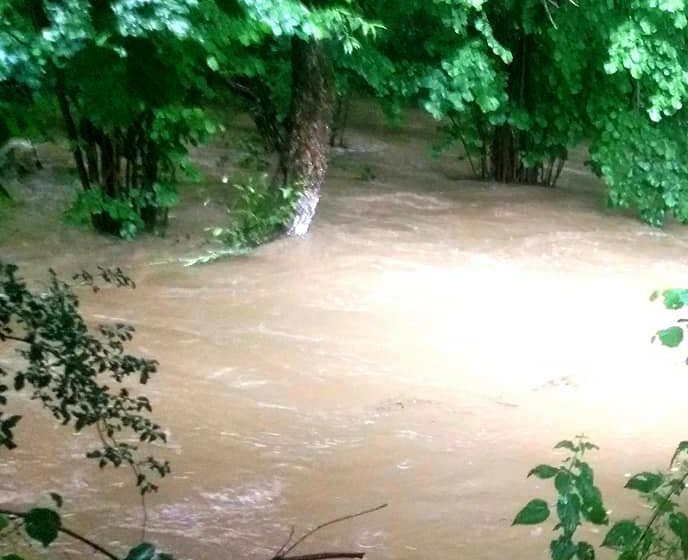 VIDEO | Inundații în Baia Sprie și Șișești VIDEO | Inundații în Baia Sprie și Șișești