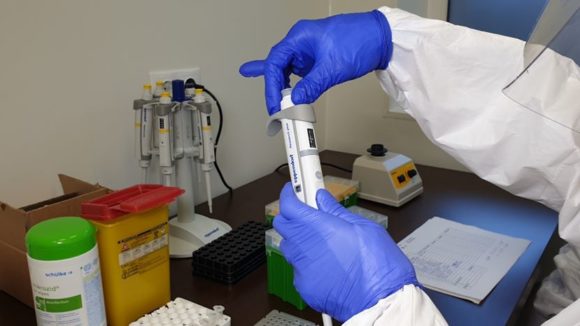 VIDEO | S-a aprobat proiectul „Testăm pentru sănătatea maramureșenilor”
