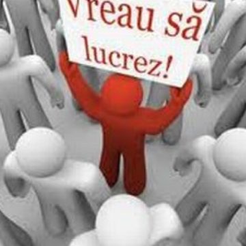 VIDEO | Crește numărul șomerilor în Maramureș, dar a scăzut numărul solicitărilor pentru șomaj tehnic