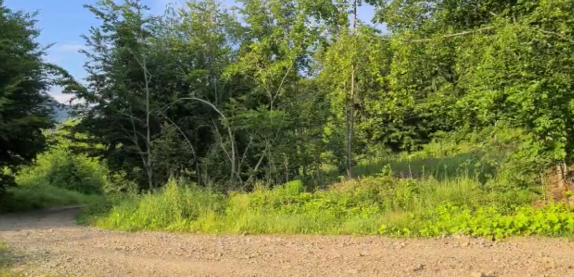 VIDEO | Sfaturi de la jandarmii montani  pentru drumeții în siguranță