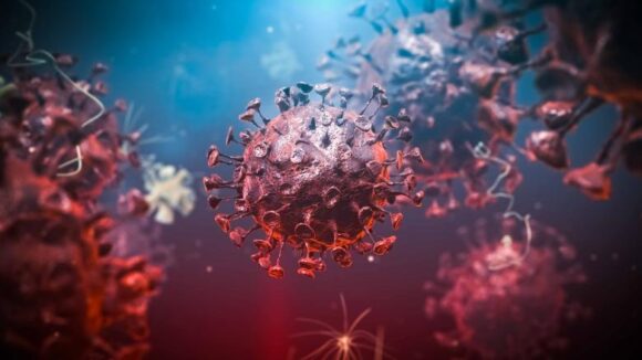 Creștere alarmantă a cazurilor de COVID-19. România atinge un nou record negativ al infecțiilor cu coronavirus, în ultimele 24 de ore Creștere alarmantă a cazurilor de COVID-19. România atinge un nou record negativ al infecțiilor cu coronavirus, în ultimele 24 de ore