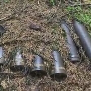 VIDEO | Șase proiectile eplozive, găsite într-o pădure din zona Borșei, de un cetățean aflat la cules de ciuperci