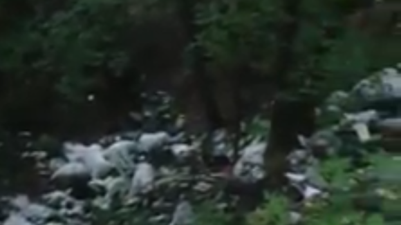 VIDEO | Păduri sufocate de gunoaie VIDEO | Păduri sufocate de gunoaie