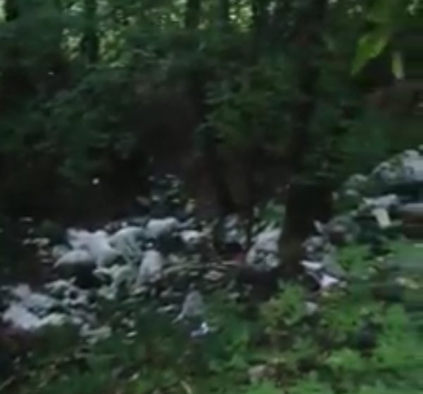 VIDEO | Păduri sufocate de gunoaie VIDEO | Păduri sufocate de gunoaie