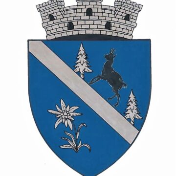 Borșa are stemă și drapel Borșa are stemă și drapel