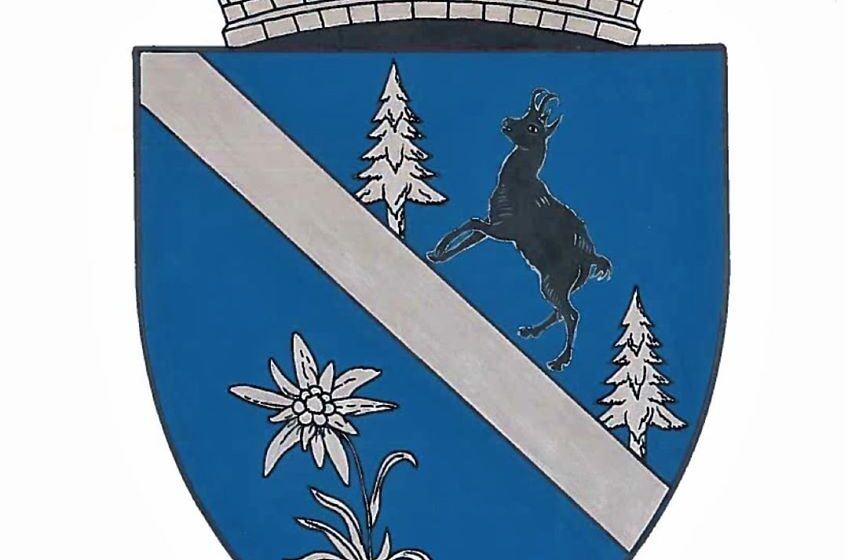 Borșa are stemă și drapel