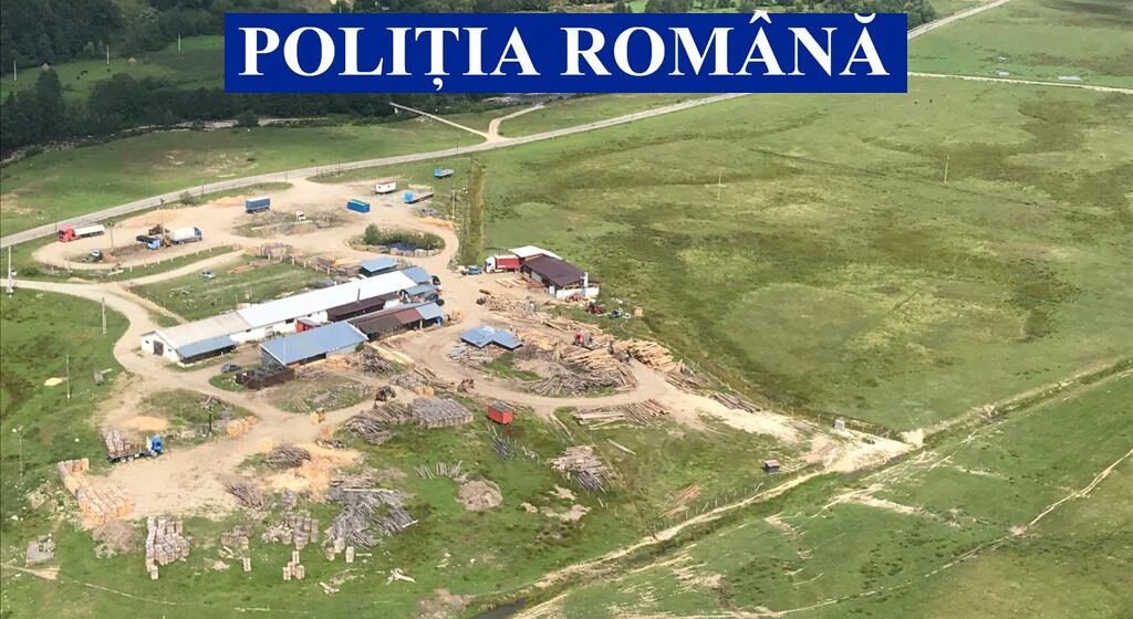 VIDEO | Acțiune pentru protejarea fondului forestier în Maramureș VIDEO | Acțiune pentru protejarea fondului forestier în Maramureș
