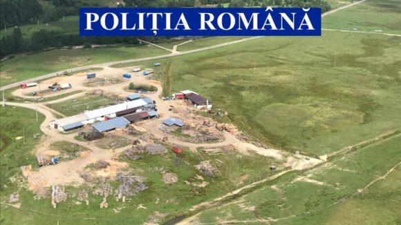 VIDEO | Acțiune pentru protejarea fondului forestier în Maramureș