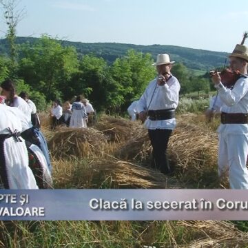 LUCRURI, FAPTE ȘI OAMENI DE VALOARE | Clacă la secerat la Coruia LUCRURI, FAPTE ȘI OAMENI DE VALOARE | Clacă la secerat la Coruia