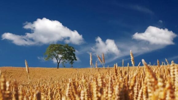 Prognoza meteo pe o lună. Schimbări dramatice: cum va fi vremea în AUGUST Prognoza meteo pe o lună. Schimbări dramatice: cum va fi vremea în AUGUST