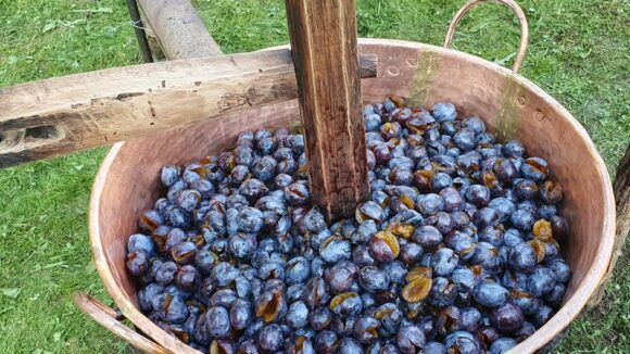 VIDEO | Prepararea silvoiței – o veche tradiție culinară – revitalizată la Muzeul Satului din Baia Mare VIDEO | Prepararea silvoiței – o veche tradiție culinară – revitalizată la Muzeul Satului din Baia Mare
