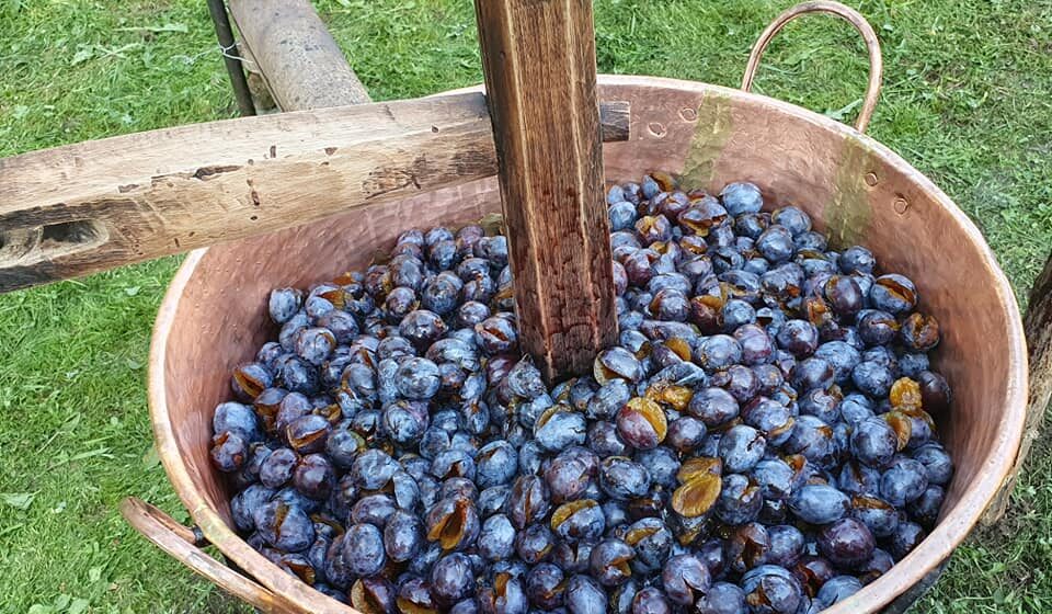 VIDEO | Prepararea silvoiței – o veche tradiție culinară – revitalizată la Muzeul Satului din Baia Mare VIDEO | Prepararea silvoiței – o veche tradiție culinară – revitalizată la Muzeul Satului din Baia Mare