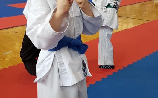 VIDEO | Clubul de taekwondo ”Dragonul”din Baia Mare își continuă activitatea, cu o parte din sportivi online, cu o parte, la sală
