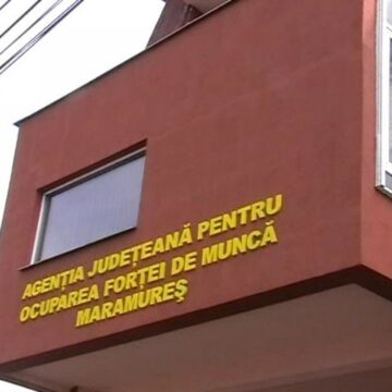 AJOFM MARAMUREȘ: Locuri de muncă vacante