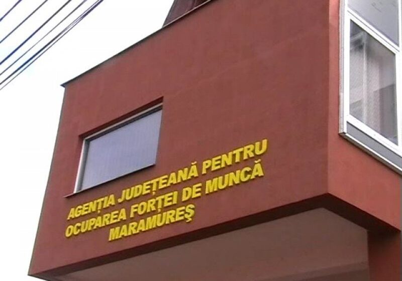 AJOFM MARAMUREȘ: Locuri de muncă vacante
