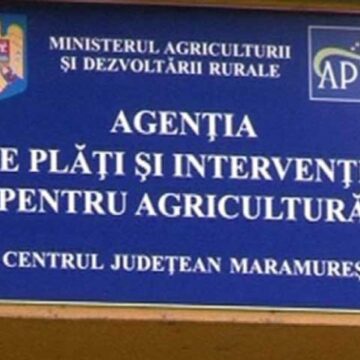 ÎN SPRIJINUL FERMIERILOR: APIA eliberează adeverinţe crescătorilor de animale care vor să acceseze credite bancare