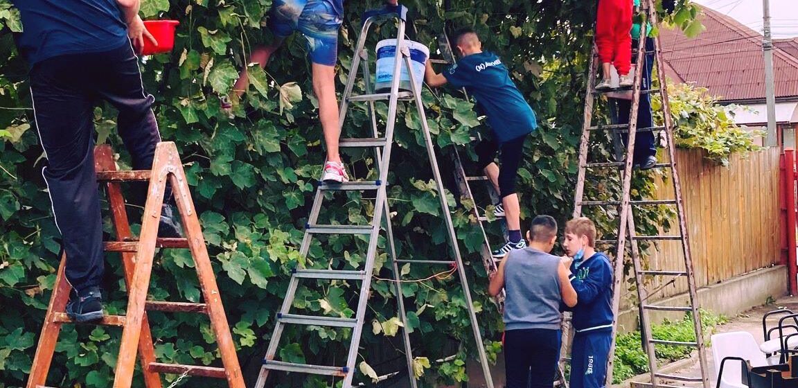 VIDEO | În toate locațiile DGASPC Maramureș se derulează activități specifice toamnei VIDEO | În toate locațiile DGASPC Maramureș se derulează activități specifice toamnei