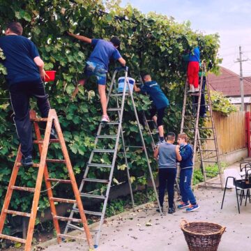 VIDEO | În toate locațiile DGASPC Maramureș se derulează activități specifice toamnei