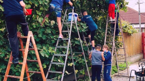 VIDEO | În toate locațiile DGASPC Maramureș se derulează activități specifice toamnei VIDEO | În toate locațiile DGASPC Maramureș se derulează activități specifice toamnei