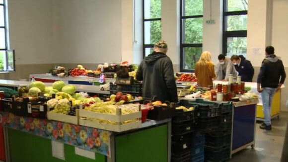 Câțiva producători din Maramureș, Sălaj și Mureș și-au unit forțele și au înființat o cooperativă agricolă Câțiva producători din Maramureș, Sălaj și Mureș și-au unit forțele și au înființat o cooperativă agricolă