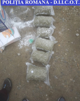 VIDEO | Bărbat prins cu cannabis și cocaină în Sighetu Marmației VIDEO | Bărbat prins cu cannabis și cocaină în Sighetu Marmației