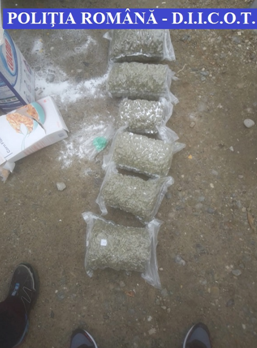 VIDEO | Bărbat prins cu cannabis și cocaină în Sighetu Marmației VIDEO | Bărbat prins cu cannabis și cocaină în Sighetu Marmației