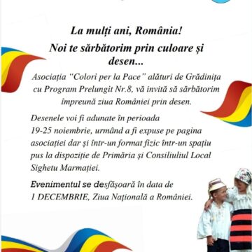 VIDEO | Asociația ”Culorile Păcii”a pus bazele unui proiect pentru a sărbători Ziua României prin desen