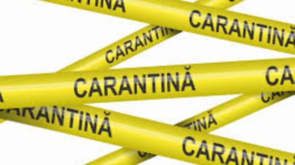 Carantină zonală pentru localitățile Tăuții Măgherăuș și Săcălășeni