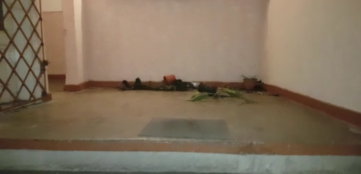 VIDEO | ( FOTO) Acte de vandalism într-un bloc din Sighetu Marmației