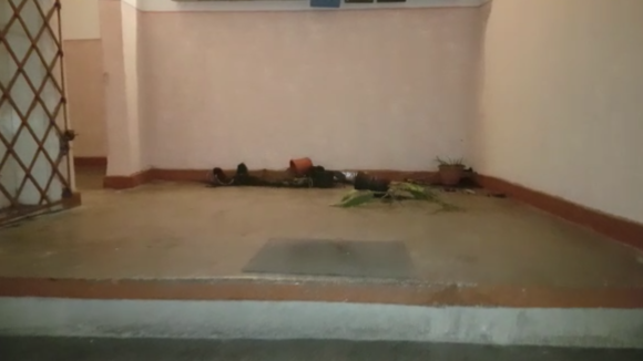 VIDEO | ( FOTO) Acte de vandalism într-un bloc din Sighetu Marmației