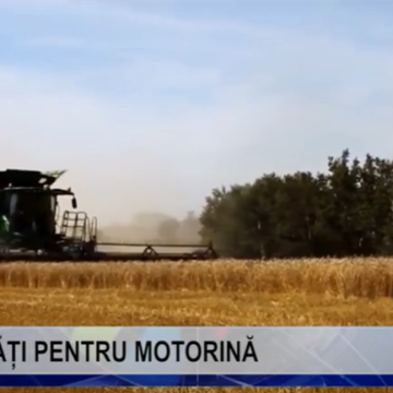 VIDEO |  PLĂȚI PENTRU MOTORINĂ