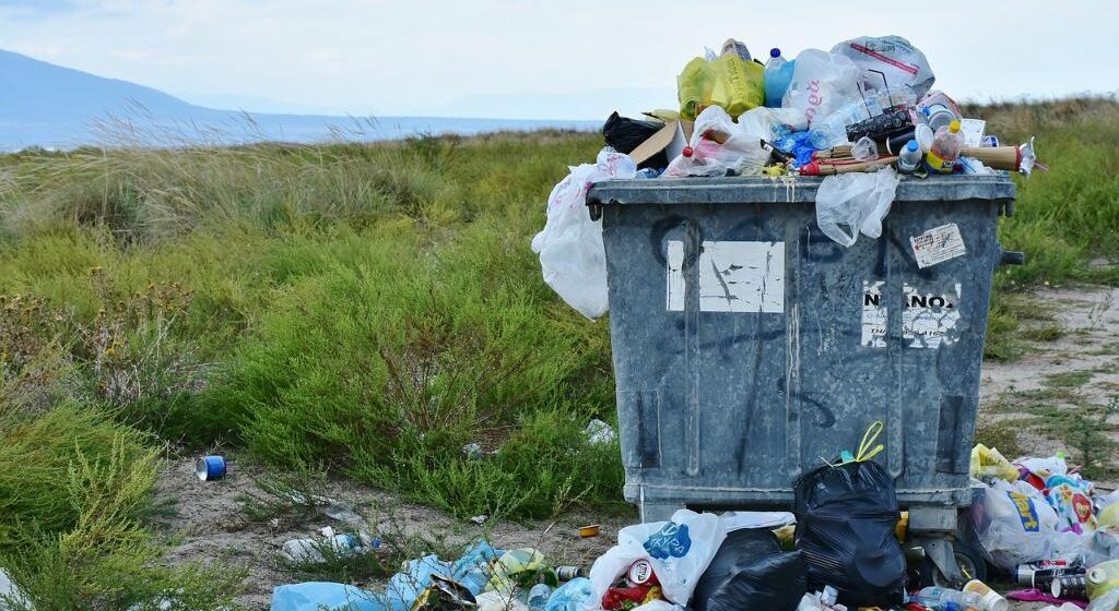 VIDEO | Ridicarea gunoiului, din nou oprită la Moisei