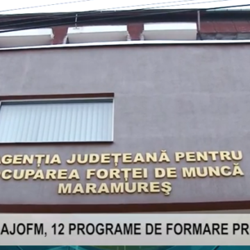 REPORTAJUL ZILEI | AJOFM, 12 PROGRAME DE FORMARE PROFESIONALĂ
