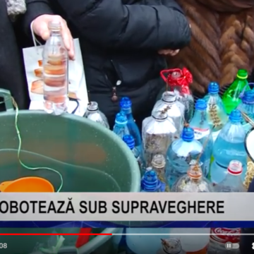 VIDEO | BOBOTEAZĂ SUB SUPRAVEGHERE VIDEO | BOBOTEAZĂ SUB SUPRAVEGHERE