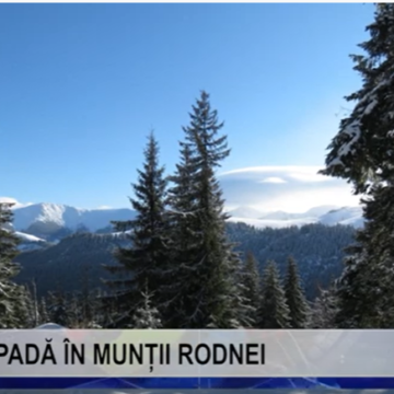 VIDEO |  ZĂPADĂ ÎN MUNȚII RODNEI