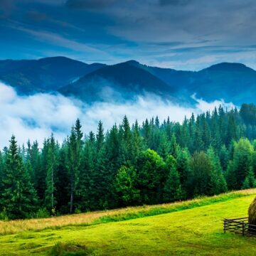 VIDEO | Maramureșul și Bucovina, înscrise pe lista New York Times de destinații de vacanță în vreme de pandemie