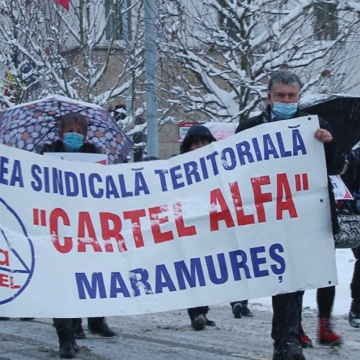 VIDEO | Și CNS Cartel ALFA a declanșat acțiuni de protest VIDEO | Și CNS Cartel ALFA a declanșat acțiuni de protest