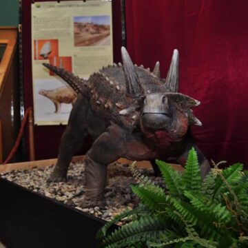 Muzeul Județean de Mineralogie ”Victor Gorduza” Baia Mare prelungește expoziția temporară ”Ultimii dinozauri din Transilvania” Muzeul Județean de Mineralogie ”Victor Gorduza” Baia Mare prelungește expoziția temporară ”Ultimii dinozauri din Transilvania”