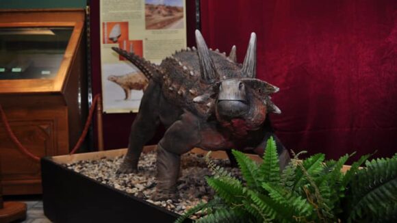 Muzeul Județean de Mineralogie ”Victor Gorduza” Baia Mare prelungește expoziția temporară ”Ultimii dinozauri din Transilvania”