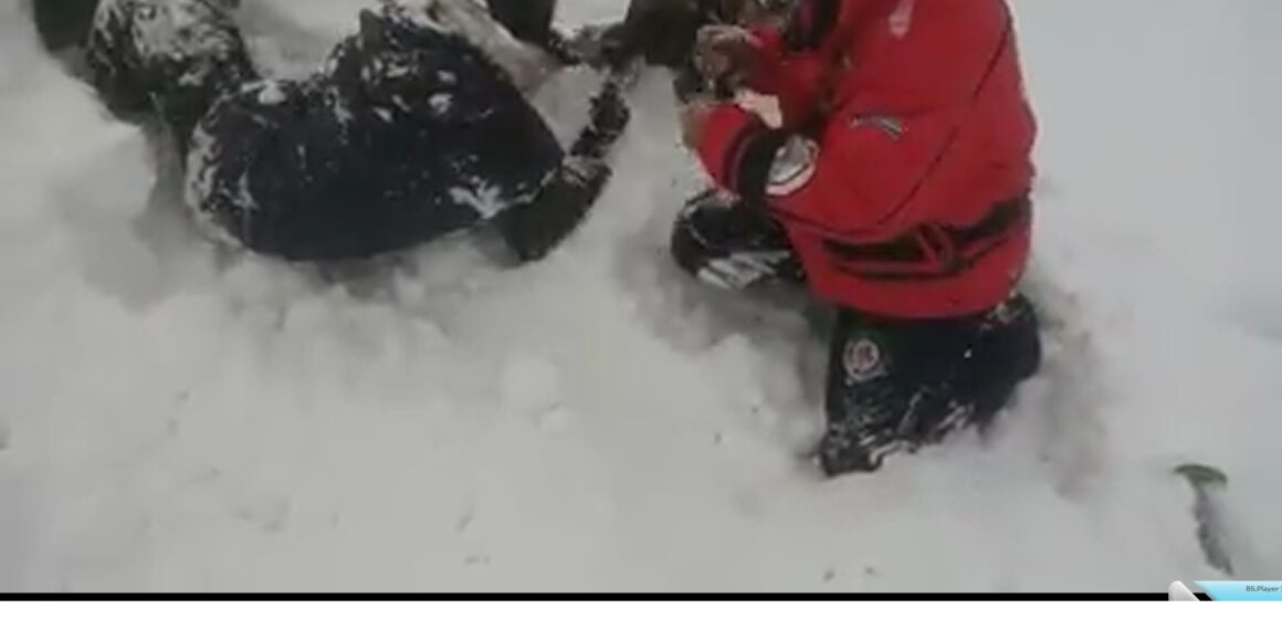 VIDEO | Athos, câinele salvamont a intervenit pentru a salva o persoană acoperită de zăpadă, la Borșa