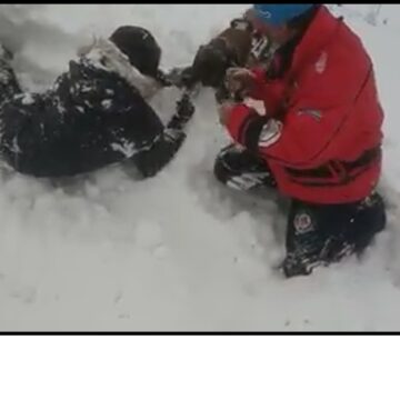 VIDEO | Athos, câinele salvamont a intervenit pentru a salva o persoană acoperită de zăpadă, la Borșa