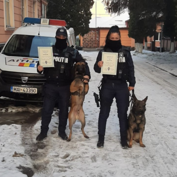 VIDEO | Polițiști maramureșeni felicitați de IGPR VIDEO | Polițiști maramureșeni felicitați de IGPR
