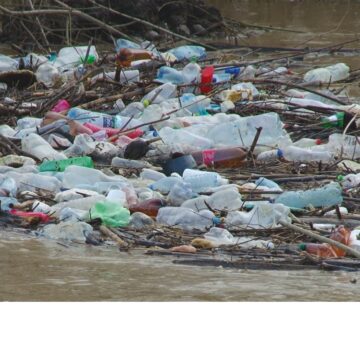 VIDEO | La Sighet, se caută soluții, dar și vinovații pentru problema pet-urilor aduse de ape